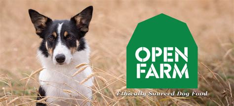 Open farms - 